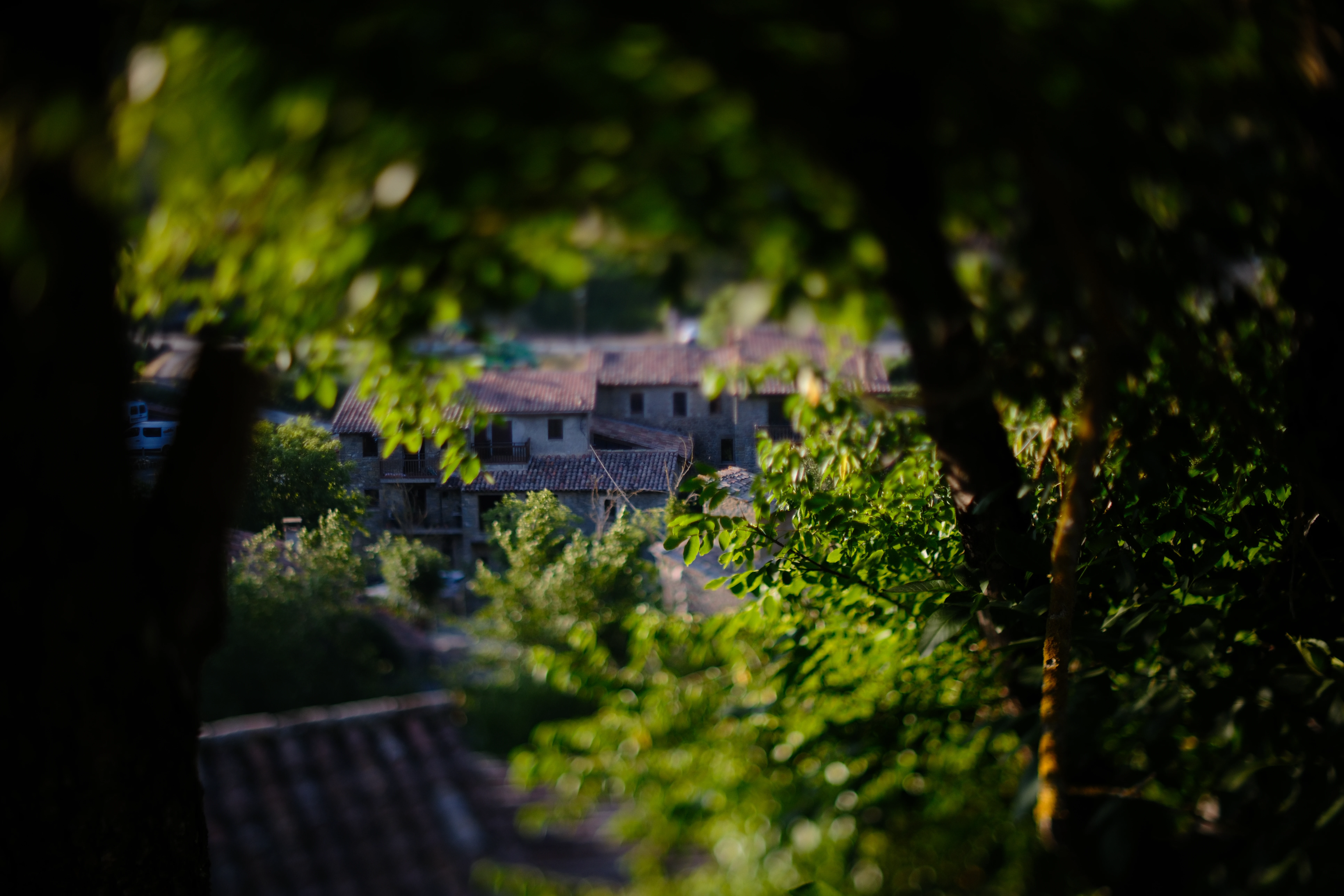 Stone houses in Rupit framed through dark foliage with a narrow band of tilt focus