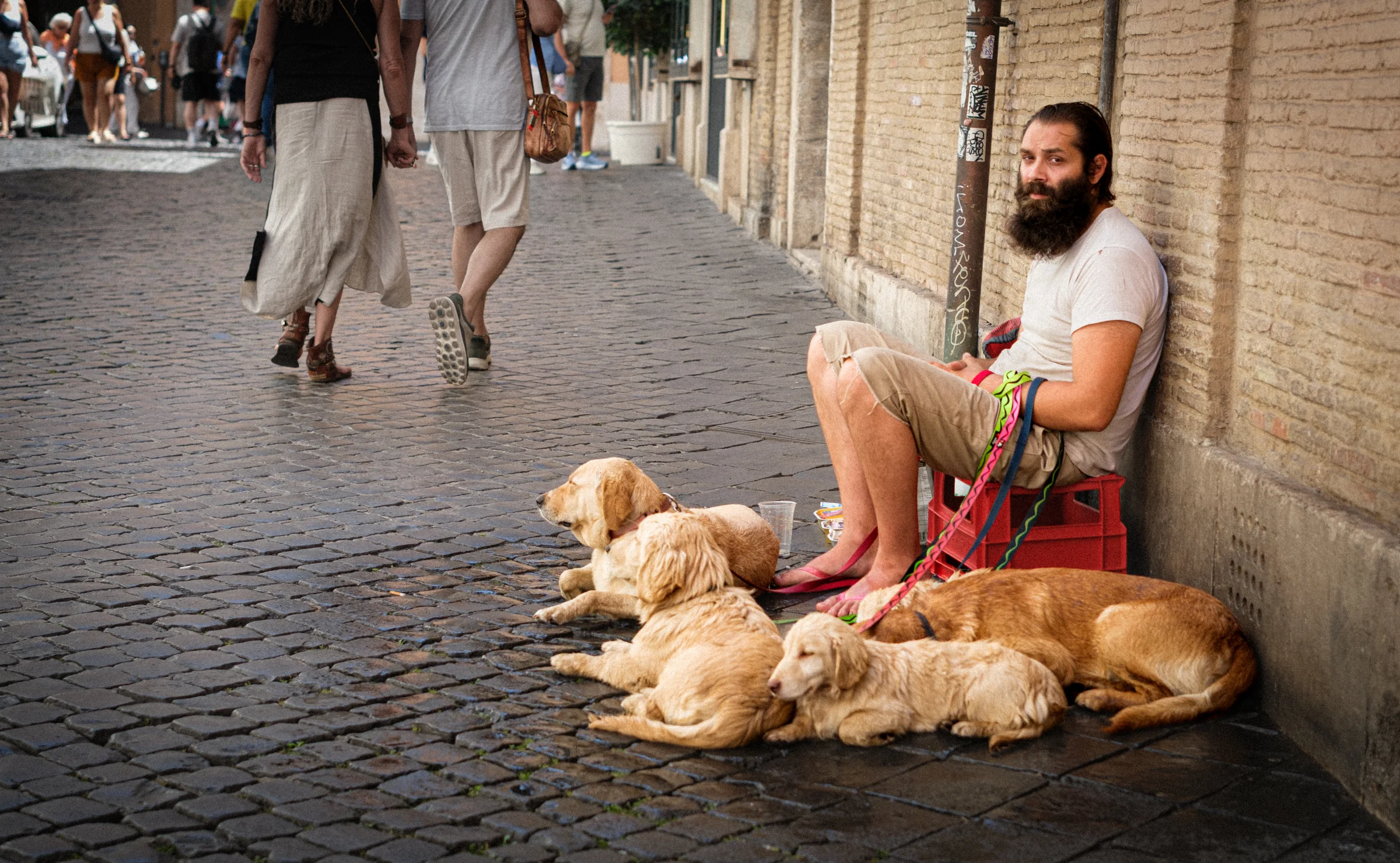 A bearded man sits on a red crate beside resting dogs on a cobbled street