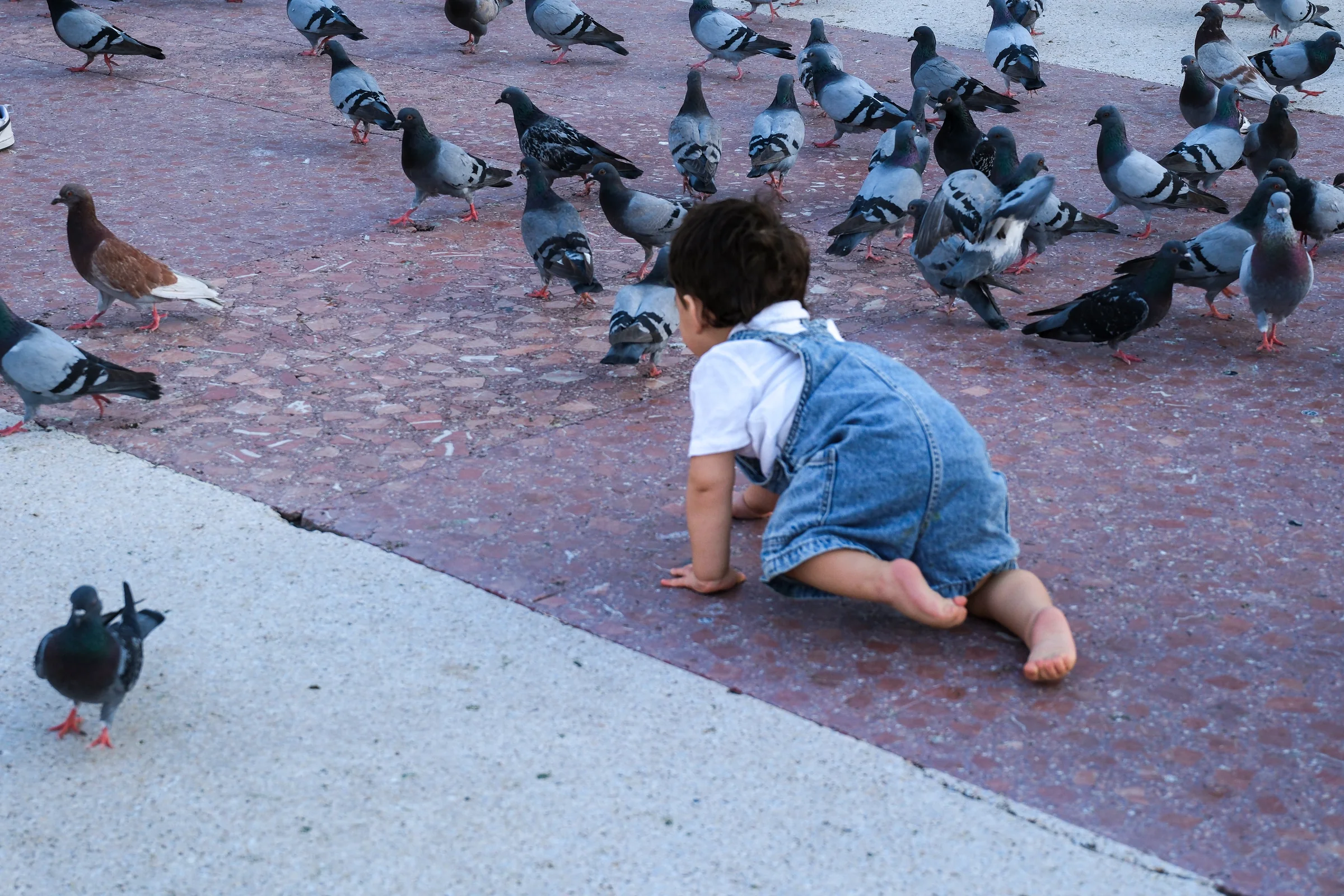 A barefoot child crawls toward pigeons gathered on a red stone plaza