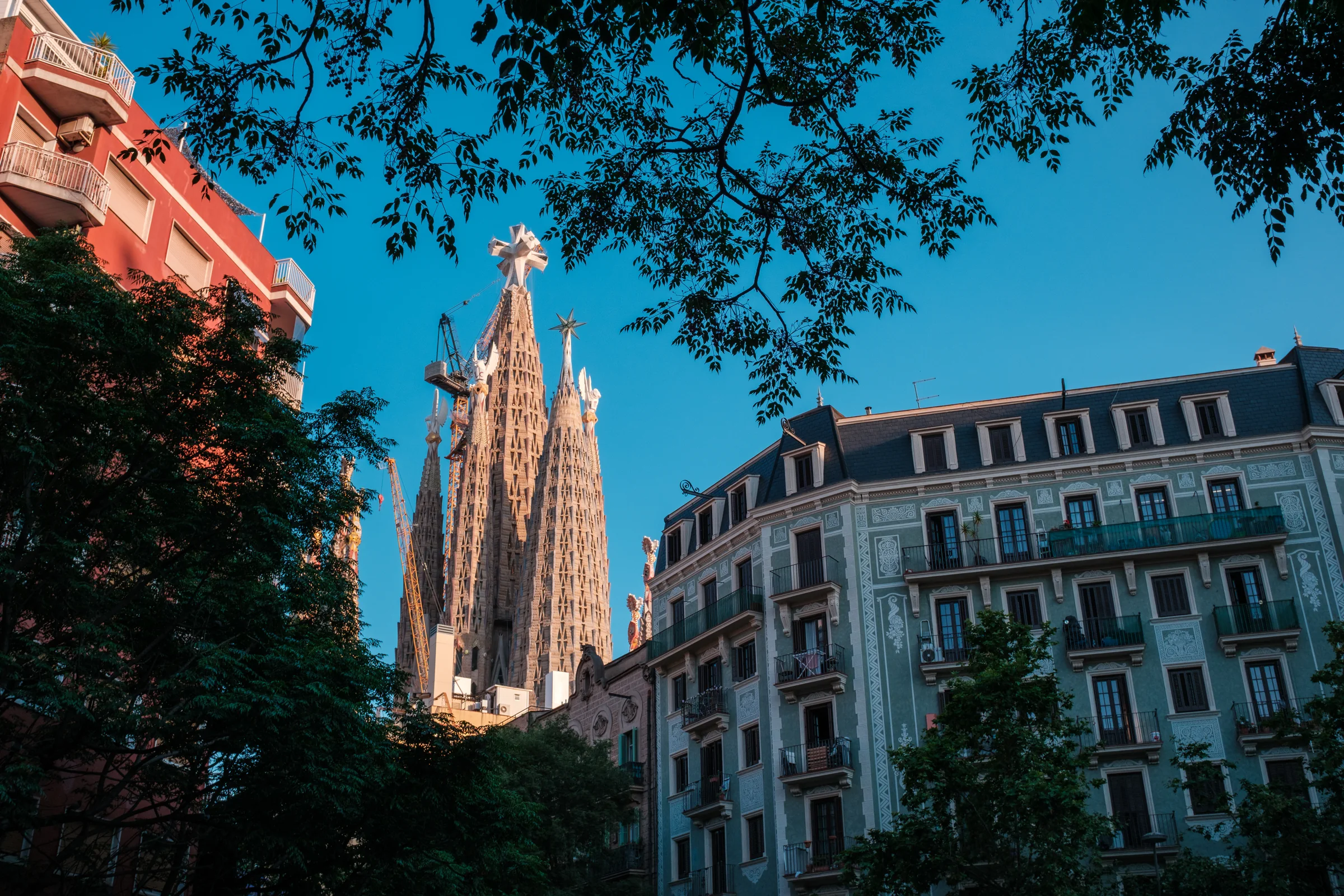 The Sagrada Familia rises between trees and residential buildings under a blue sky