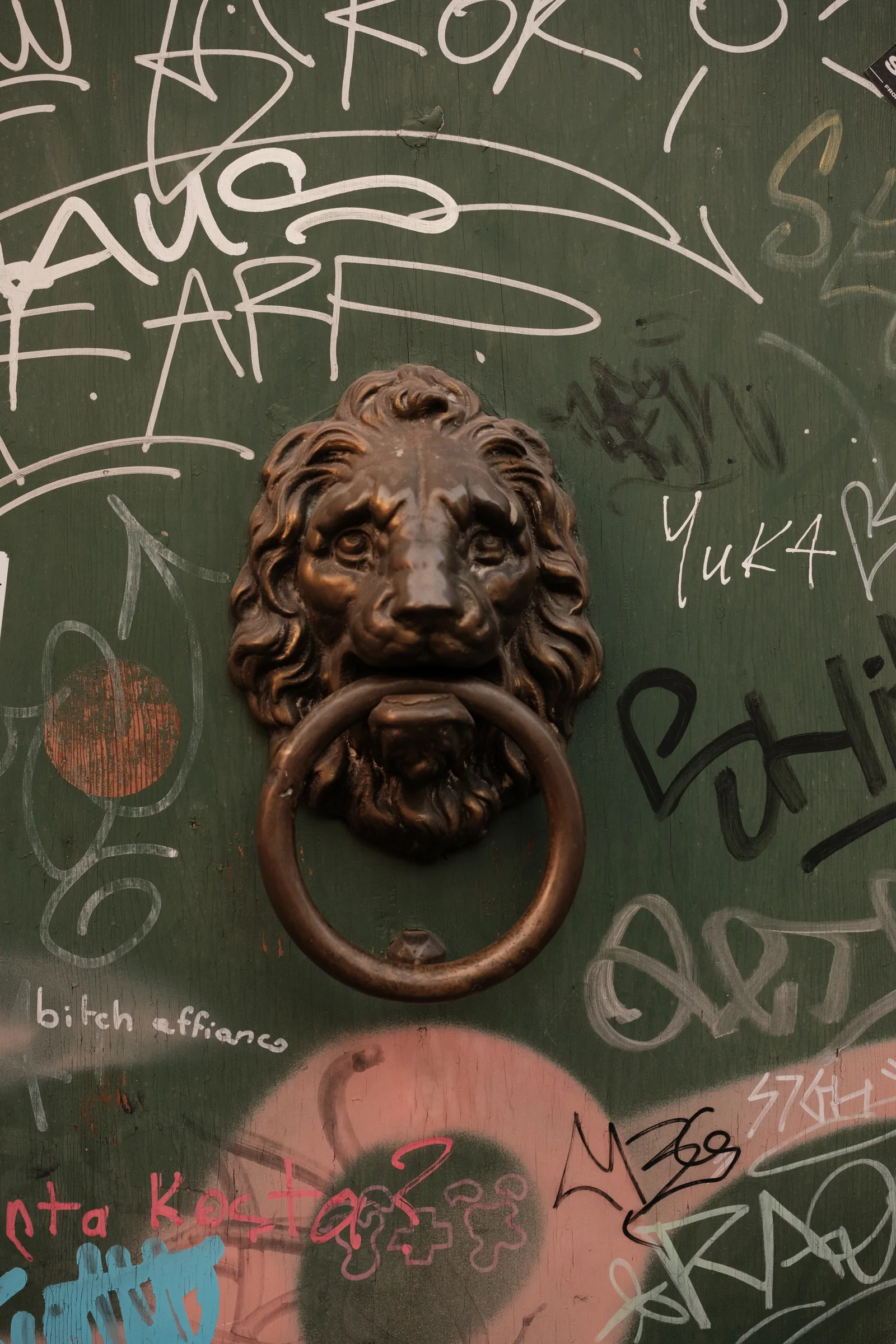 A bronze lion door knocker on a green graffiti-marked door
